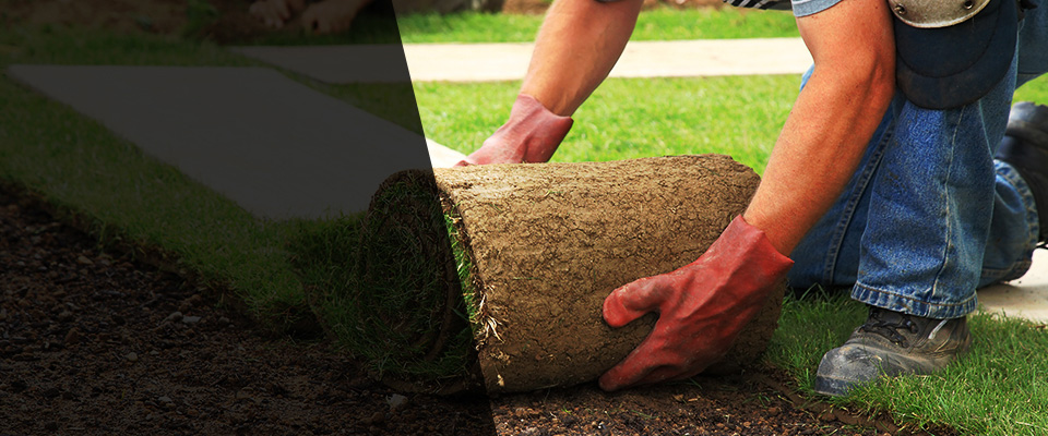 Essexville Landscapers